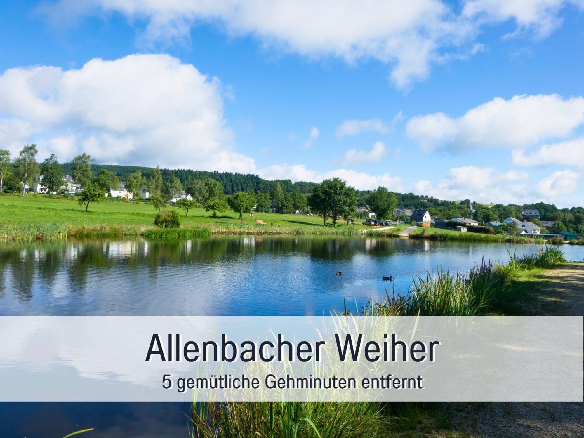 4 Sterne Ferienhaus "Zum Weiher" Allenbach Exterior foto